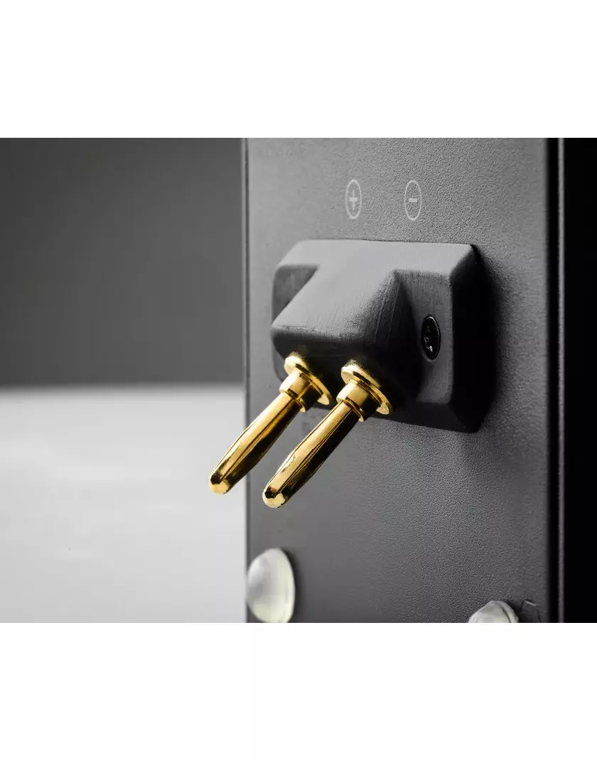 Pro-Ject Wireless Box E wifis aktív erősítő modul passzív hangsugárzóhoz fekete - Image 4
