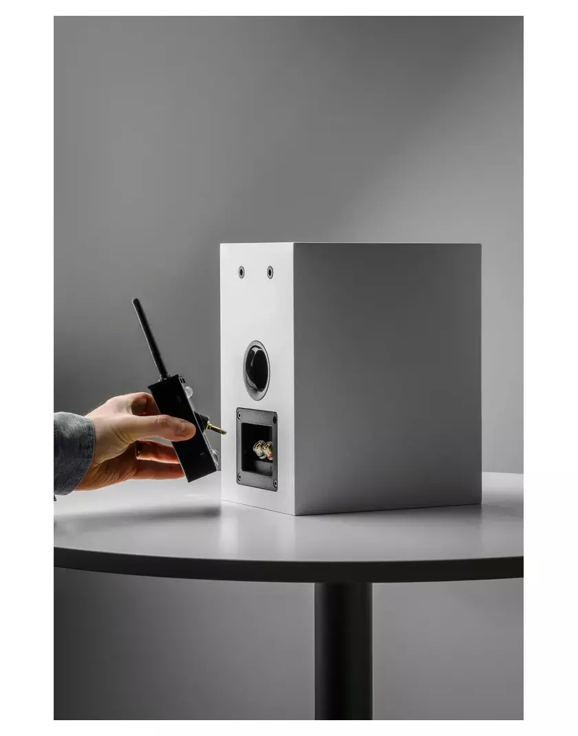 Pro-Ject Wireless Box E wifis aktív erősítő modul passzív hangsugárzóhoz fekete - Image 3